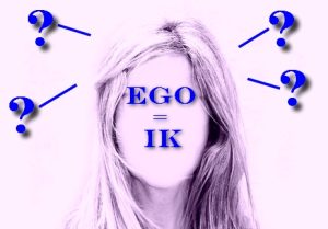 nut van het ego